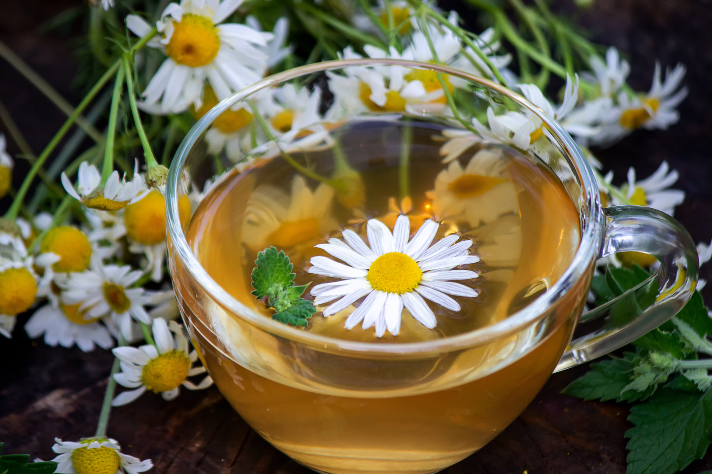 ChamoMint Herbal Tea Blend